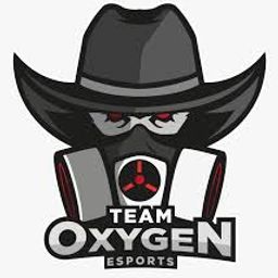 team-logo
