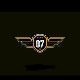 team-logo