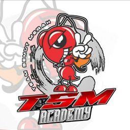 team-logo