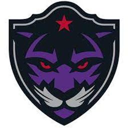 team-logo