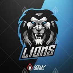 team-logo