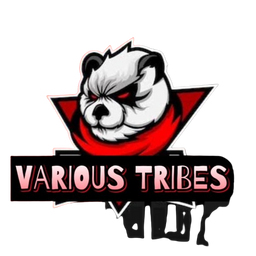 team-logo