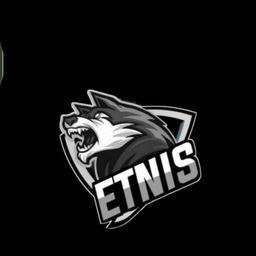 team-logo