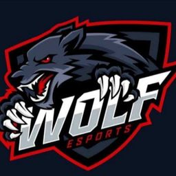 team-logo