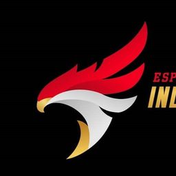 team-logo