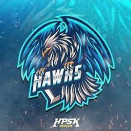team-logo