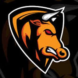 team-logo