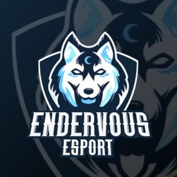 ENDERVOUS ESPORT