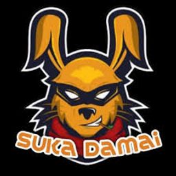 team-logo