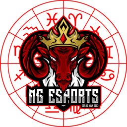team-logo