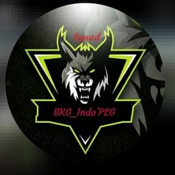 team-logo