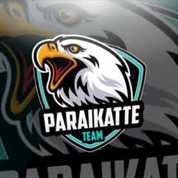team-logo