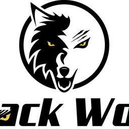 team-logo